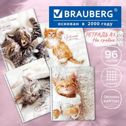 Тетрадь А5, 96 л., BRAUBERG, гребень, клетка, "Котики", 404425