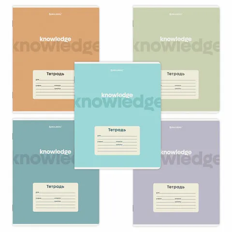Тетрадь 24 л. BRAUBERG, клетка, обложка картон, KNOWLEDGE, 107305