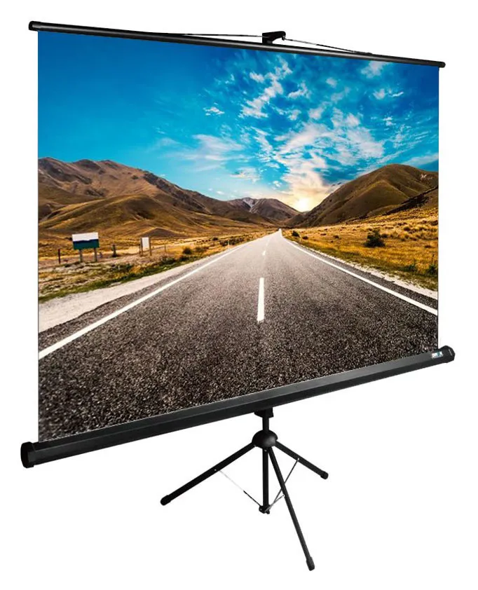 Экран Cactus TriExpert CS-PSTE-160x160-BK, 160x160см, 1:1, напольный, черный