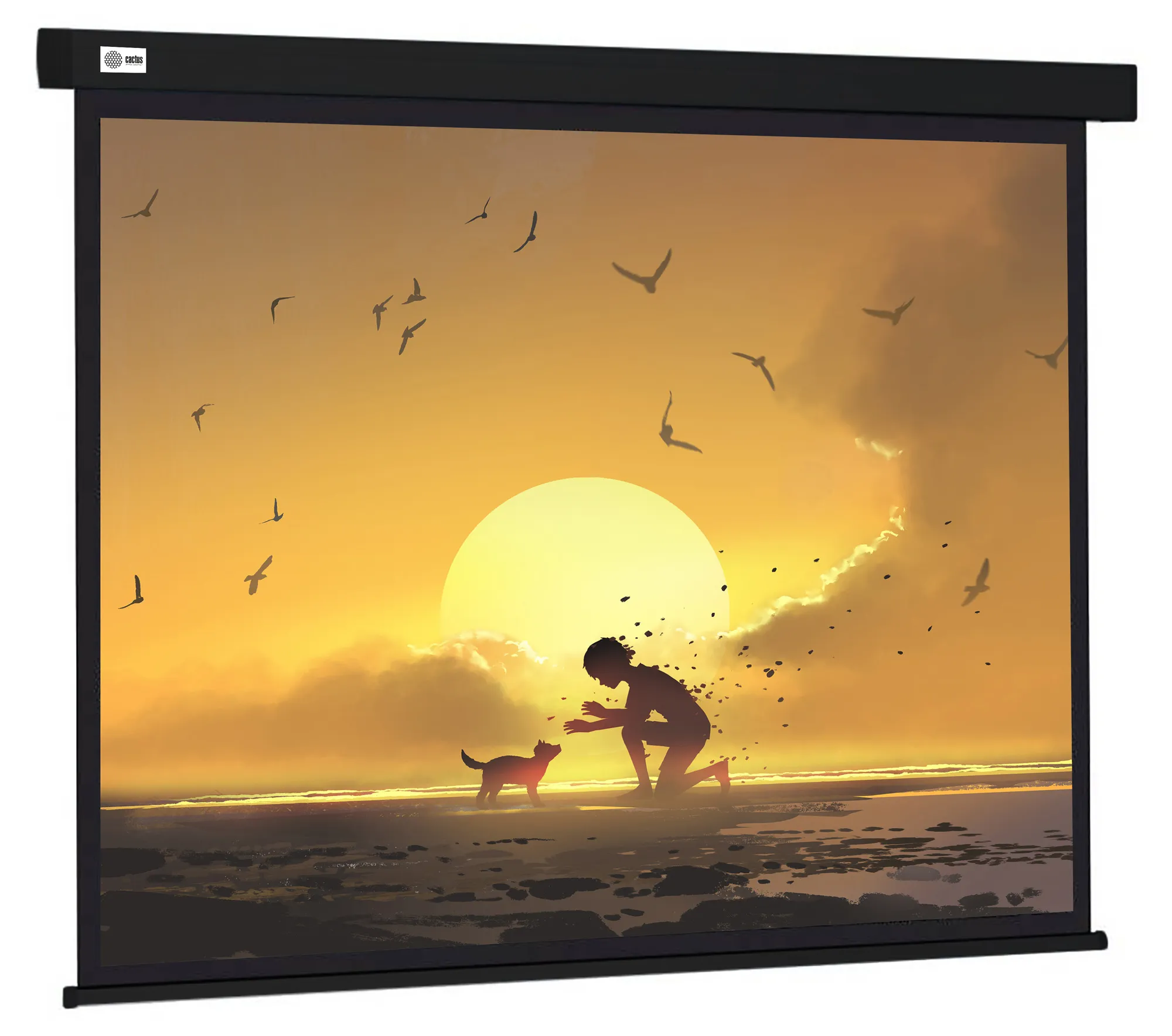 Экран Cactus Wallscreen CS-PSW-150X150-BK, 150x150см, 1:1, настенно-потолочный, черный, PSW-150x150-