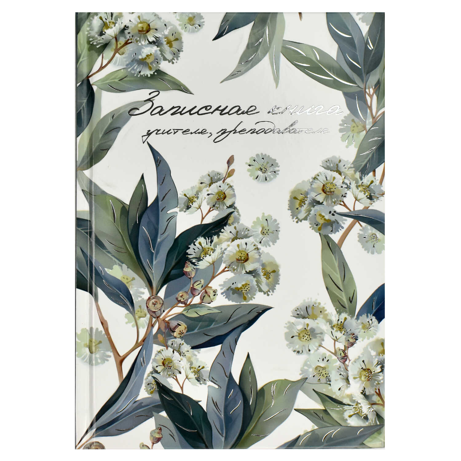 Записная книга учителя Феникс+ А5, 96 л., "ЭВКАЛИПТ"