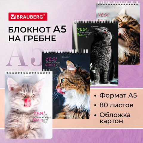 Блокнот А5 146х206мм, 80л, гребень, картон, клетка, BRAUBERG, "GRADIENT", 114374