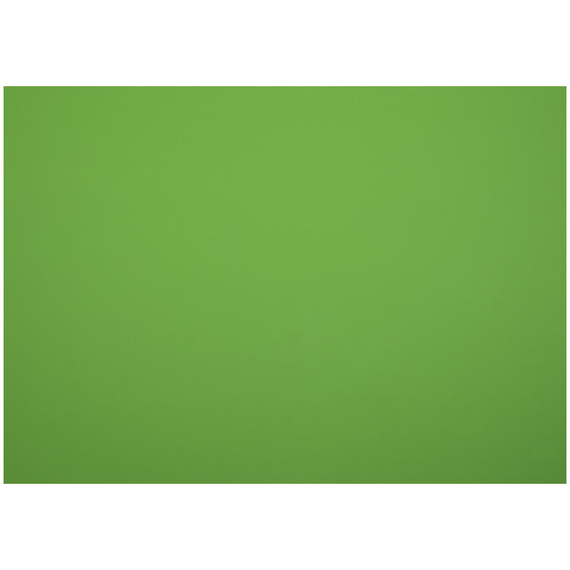 Картон плакатный 48*68см, Мульти-Пульти, 10л., мелованный в пакете, зеленый, 380г/м2