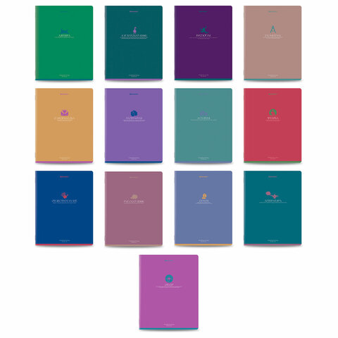 Тетради предметные, КОМПЛЕКТ 13 ПРЕДМЕТОВ, 48 л., матовая ламинация, BRAUBERG "MONOCOLOR", 405175