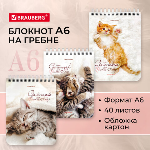 Блокнот МАЛЫЙ ФОРМАТ 108х145мм, А6, 40л, гребень, картон, клетка, BRAUBERG, "Котики", 114391