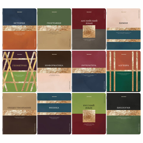 Тетради предметные, КОМПЛЕКТ 12 ПРЕДМЕТОВ, 48 л., матовая ламинация, фольга, BRAUBERG "GOLDY", 40517