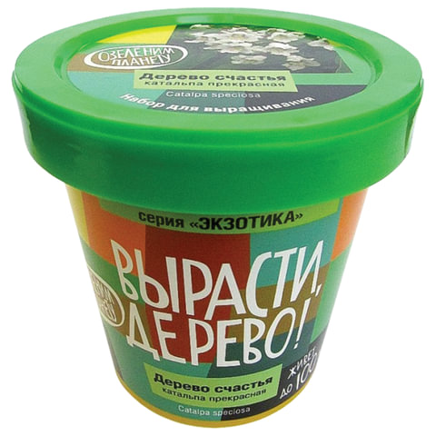 Набор для выращивания растений ВЫРАСТИ ДЕРЕВО! "Дерево счастья Катальпа" (банка, грунт, семена), zk-