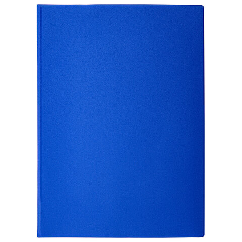 Папка для семейных документов с файлами (свидетельства, полисы, СНИЛС и т.п.) STAFF, 12 отделений, П