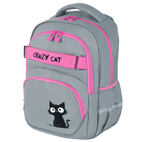 Рюкзак BRAUBERG MOTION, 2 отделения, 3 кармана, "Crazy cat", 41х28х17 см, 273115