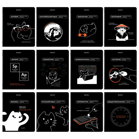 Тетради предметные, КОМПЛЕКТ 12 ПРЕДМЕТОВ, 48 л., TWIN лак, BRAUBERG "МЕМЫ", 405172