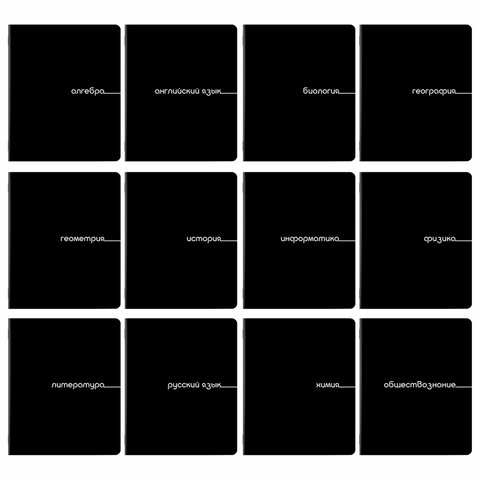 Тетради предметные, КОМПЛЕКТ 12 ПРЕДМЕТОВ, 48 л., обложка картон, BRAUBERG "BLACK", 405164